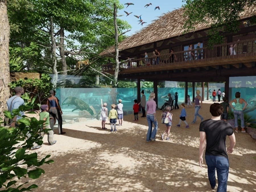 Rendering of the planned underwater manatee viewing area at ZooTampa